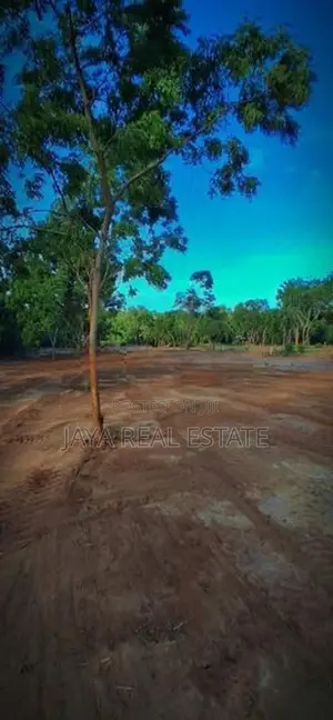 Land Plots Near to Turtle Beach Tangalle Rekawa