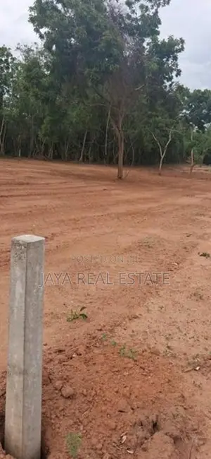 Land Plots Near to Turtle Beach Tangalle Rekawa
