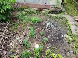 Prime Land for Sale – Attidiya Road