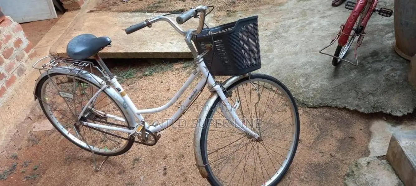 LadysJapanCycle for Other