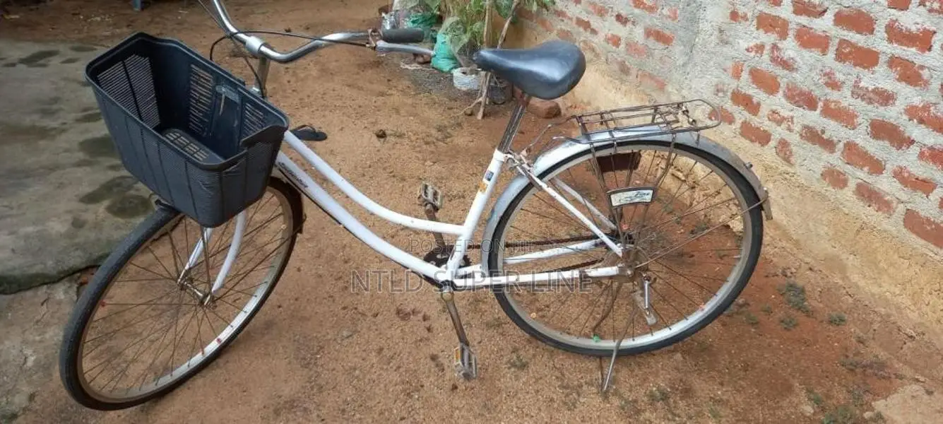 LadysJapanCycle for Other