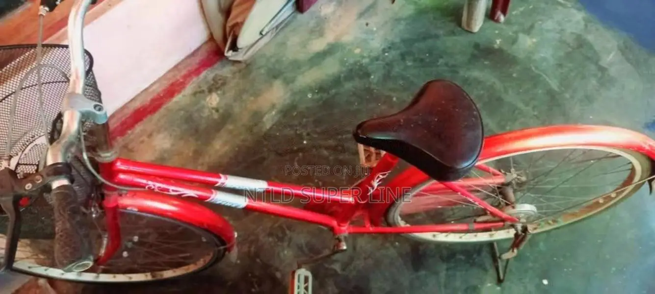 LadysJapanCycle for Other