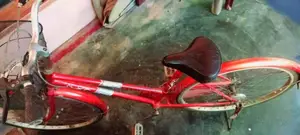 LadysJapanCycle for Other