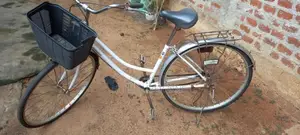 LadysJapanCycle for Other