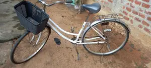 LadysJapanCycle for Other