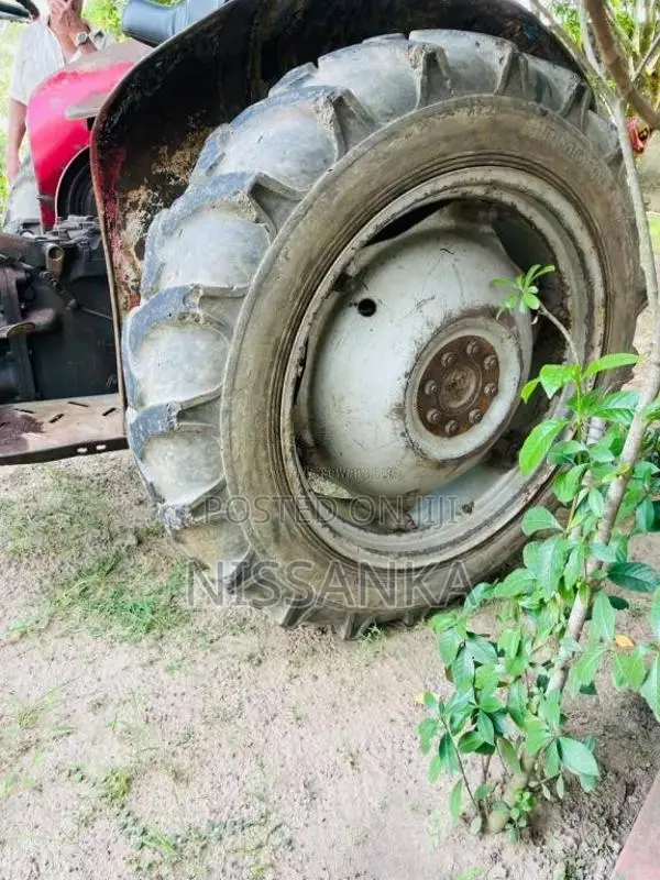 Massey-Ferguson Dl 135 2001 Tractor (Used)