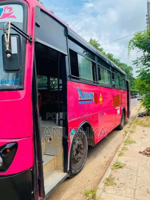 Tata Starbus 2010 Bus (Used)