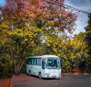 HINO Liessi 2008 Bus (Used)