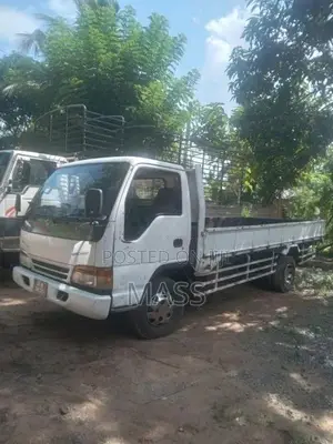 Isuzu ELF 1981 Lorry (Used)