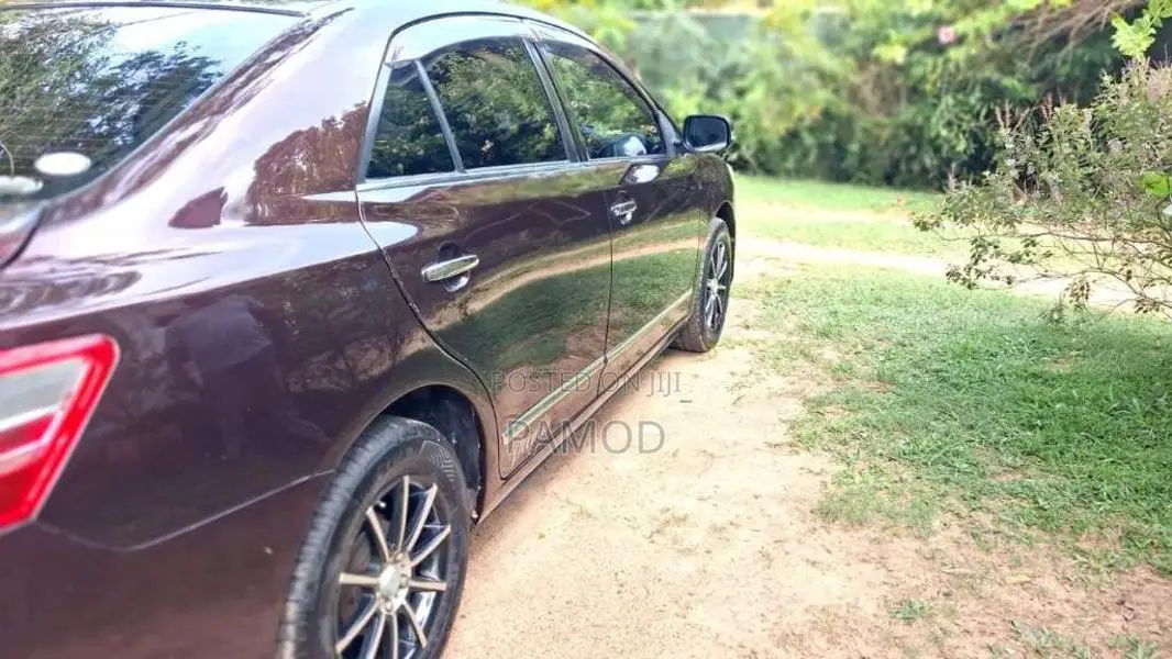 Toyota Premio 2010 Car (Used)