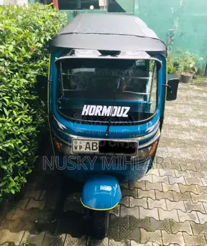 TVS King 2015 Three Wheel (Used)