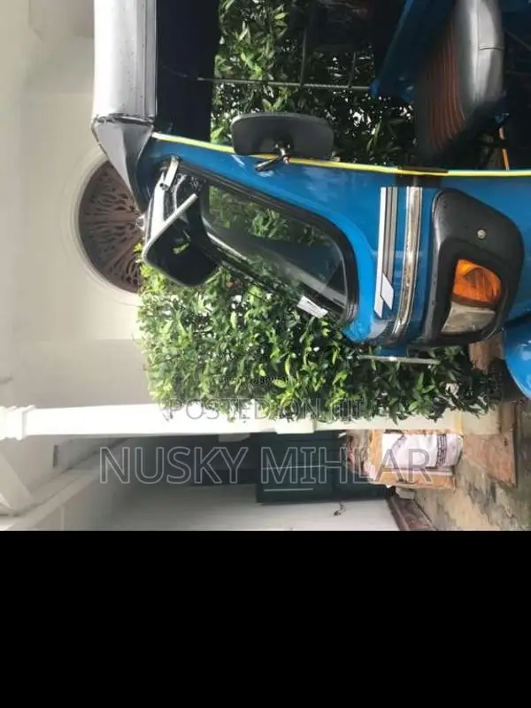 TVS King 2015 Three Wheel (Used)