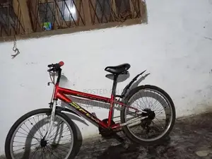 japan Mountain Bicycle Tyre size 22