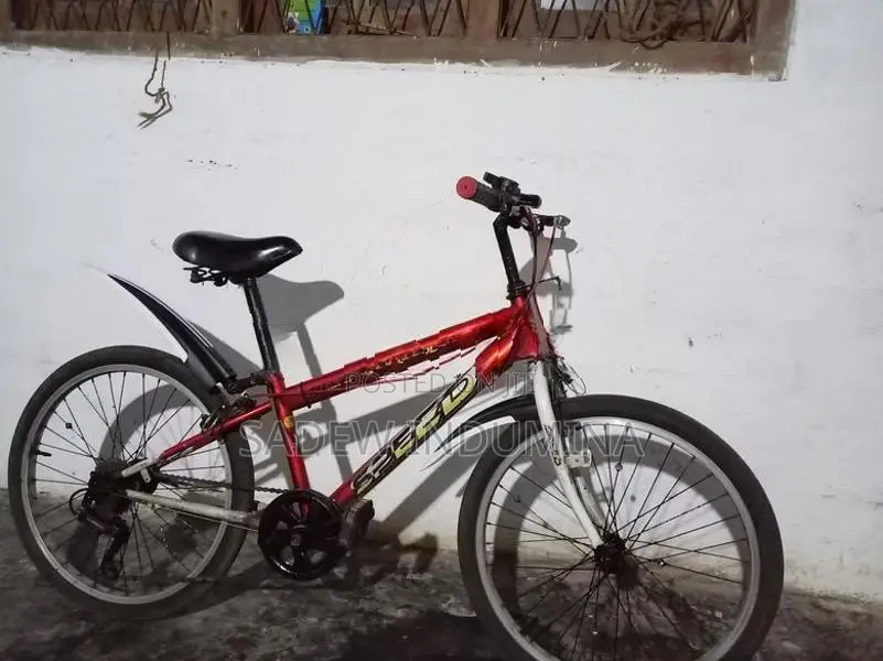 japan Mountain Bicycle Tyre size 22