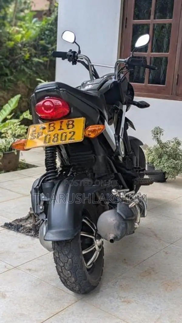 Honda Navi 2019