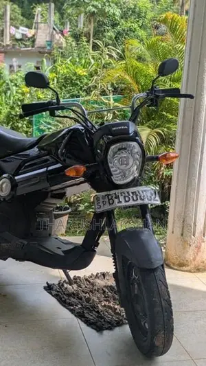 Honda Navi 2019