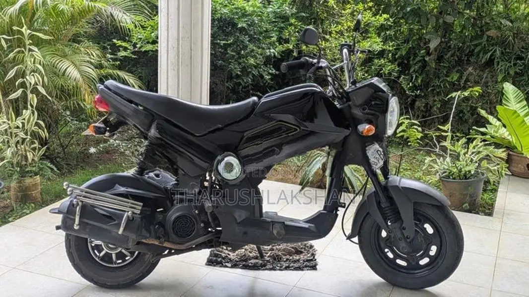 Honda Navi 2019