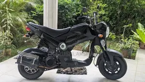 Honda Navi 2019