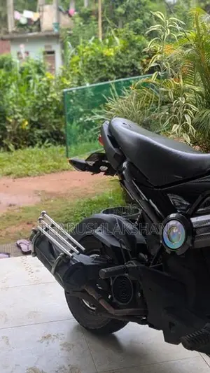 Honda Navi 2019