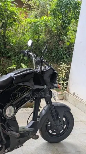 Honda Navi 2019