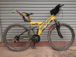 DSI Mountain Bicycle