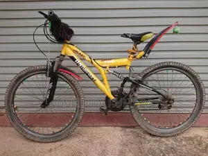 DSI Mountain Bicycle