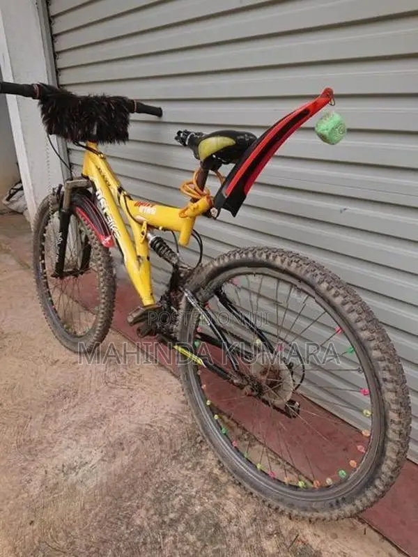 DSI Mountain Bicycle