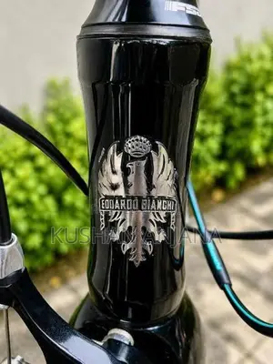 Bianchi Nirone 7 Italian Road Bicycle