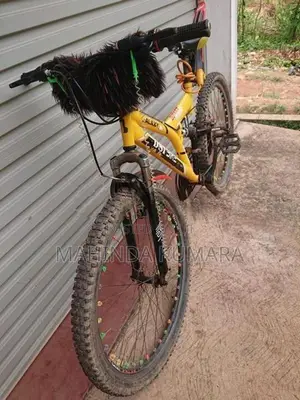 DSI Mountain Bicycle