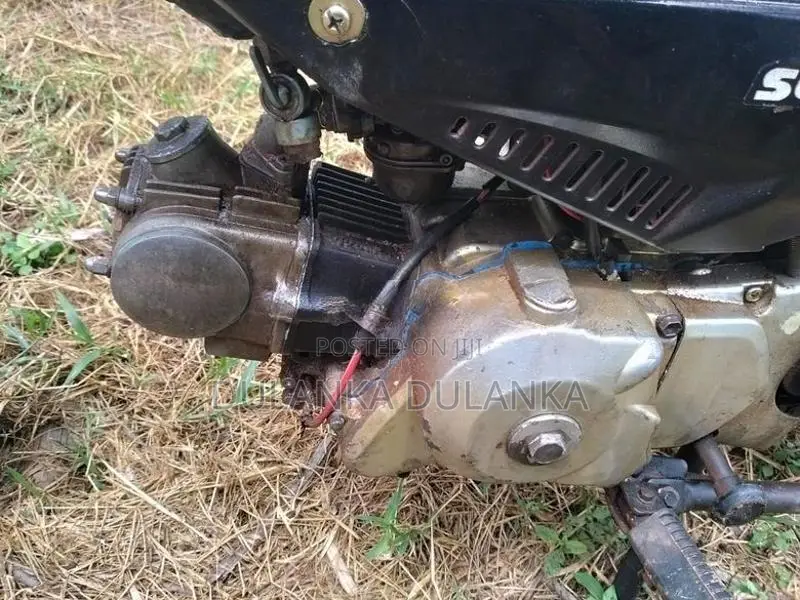 Singer Safari 48cc 2014