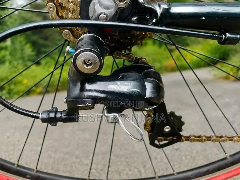 Bianchi Nirone 7 Italian Road Bicycle