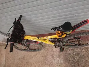 DSI Mountain Bicycle