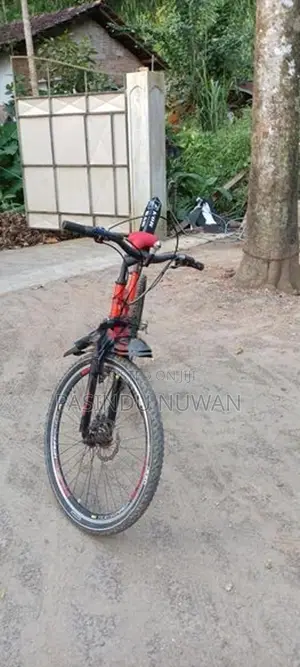 Tomowork Bicycle