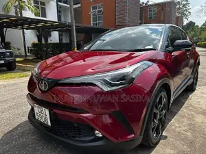 Toyota CHR 2019