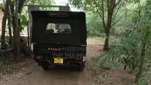 Piaggio Ape 2011