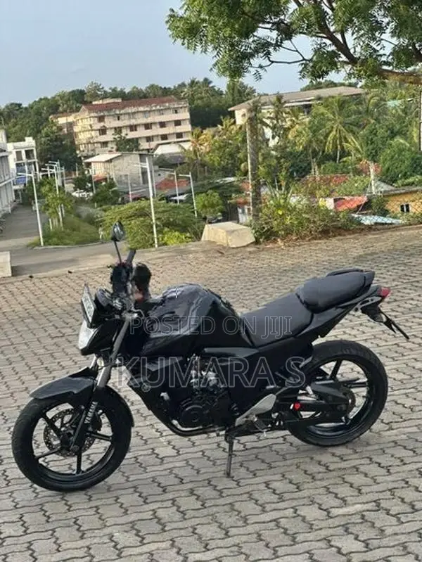 Yamaha FZs V2 2017