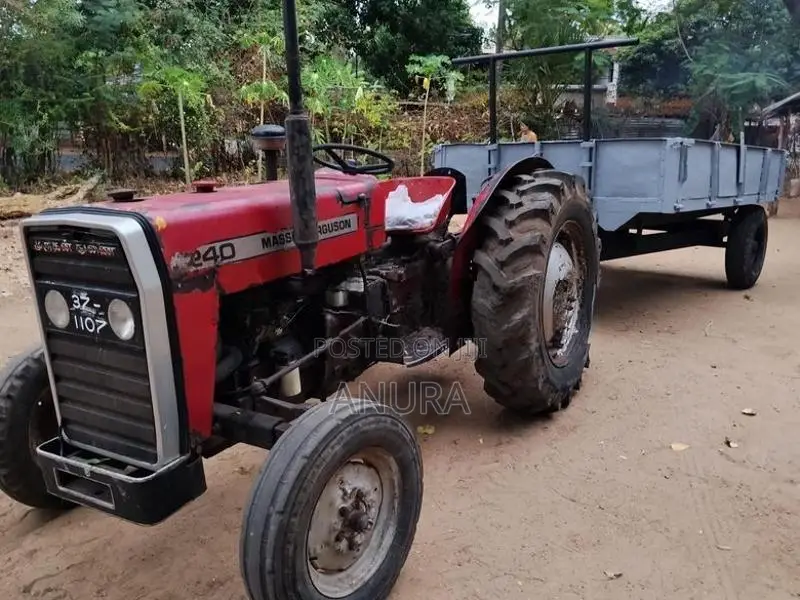 Massey Ferguson 240 Massy farguson 1981