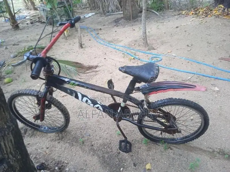 Bicycle