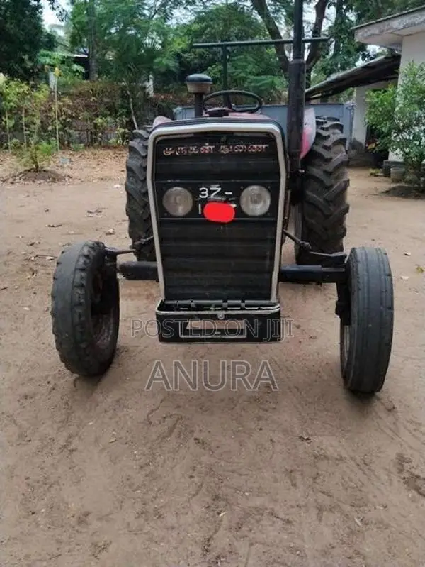 Massey Ferguson 240 Massy farguson 1981