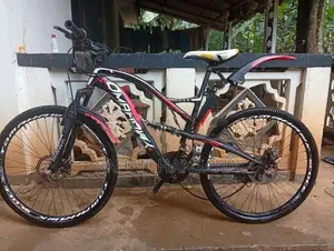 Tomahawk Bicycle