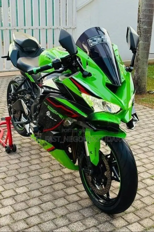 Kawasaki Z250 25RR 2021