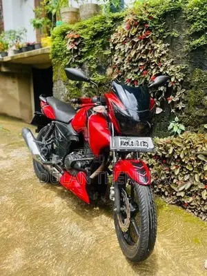 TVS Apache RTR 160 2019