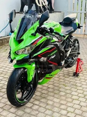 Kawasaki Z250 25RR 2021