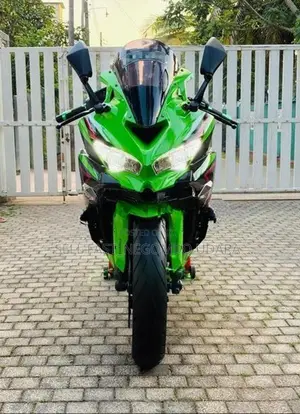 Kawasaki Z250 25RR 2021