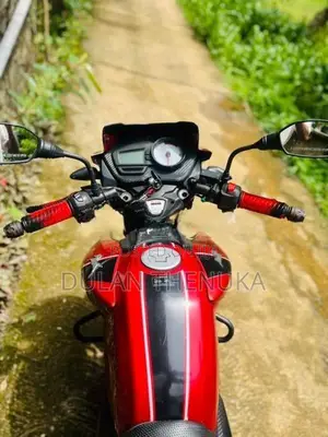 TVS Apache RTR 160 2019