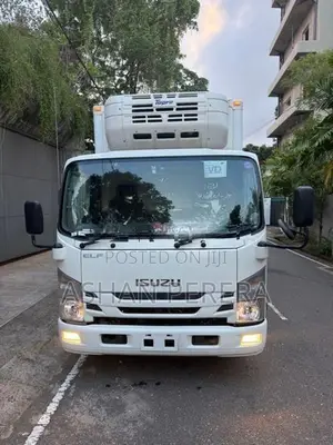 Isuzu Elf Freezer 2020