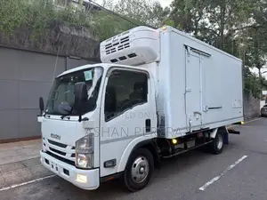 Isuzu Elf Freezer 2020