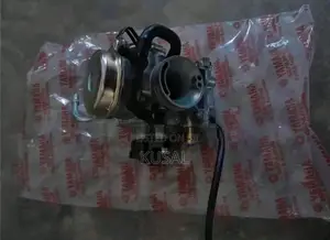 Ray zr carburetor