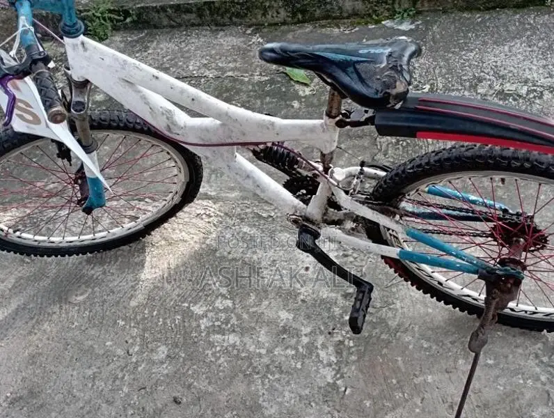 Tomahawk Bicycle