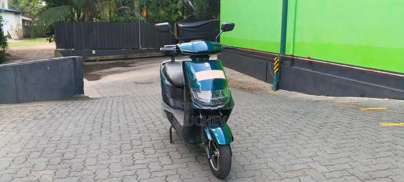 AUCHEV Pisces E-Bike 2026